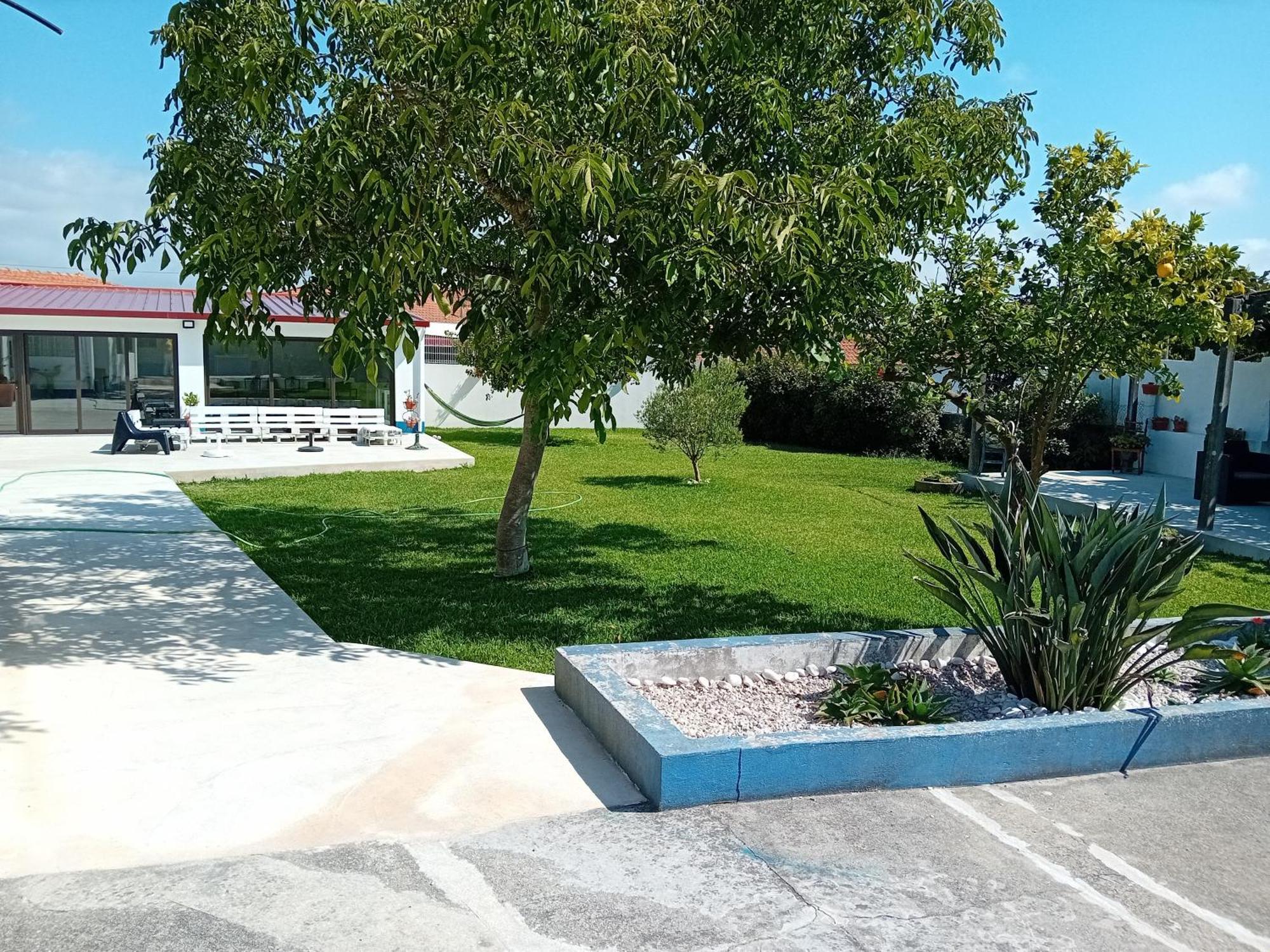 Casa Dos Avos Veras Aveiro Exteriör bild