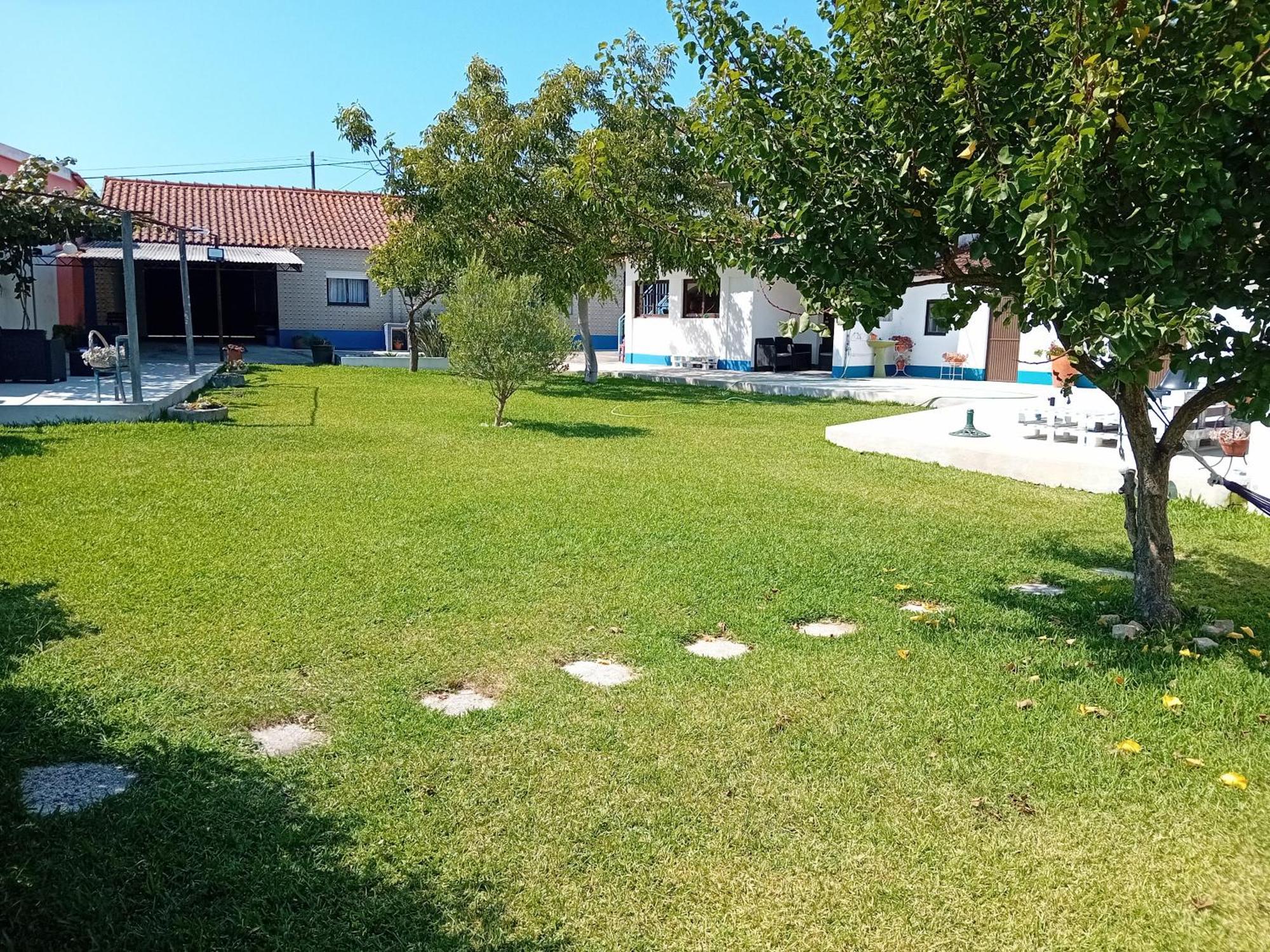 Casa Dos Avos Veras Aveiro Exteriör bild